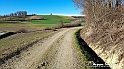20230110_143402 - Dalla terra... il grano
